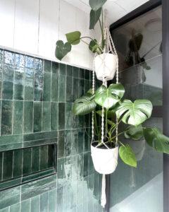 Hanging white macrame planter with a lush monstera plant indoors, against glossy dark green tiled wall and a window panel behind it.