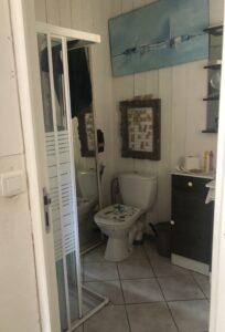 Small bathroom with toilet, shower enclosure, and blue abstract painting on paneled wall.